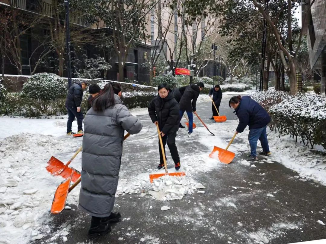 凝心聚力 扫雪护行